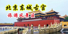 快用大鸡巴艹我视频中国北京-东城古宫旅游风景区