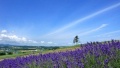 逼逼影院看看逼日本一地6日游  境外旅游 6880元/人